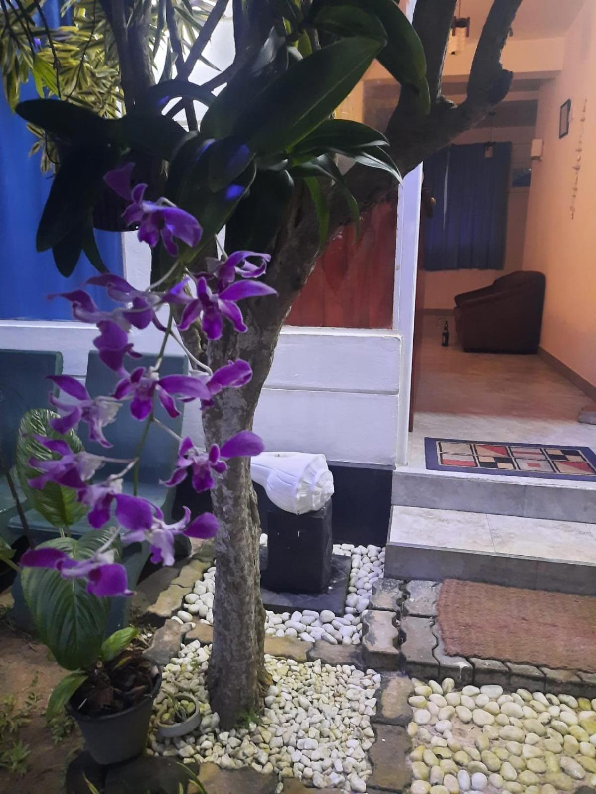 White Surfing Beach Resort Unawatuna Dış mekan fotoğraf